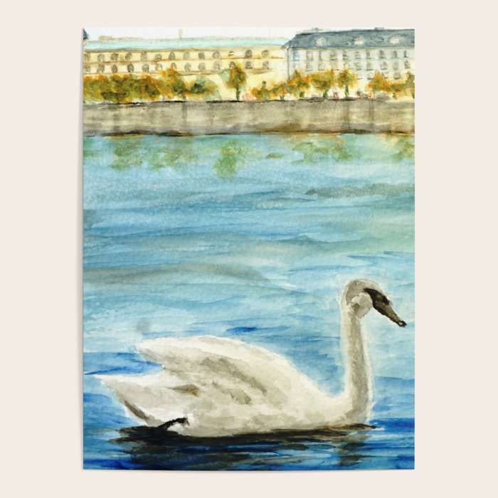 swan Poster Gallery Image 4
