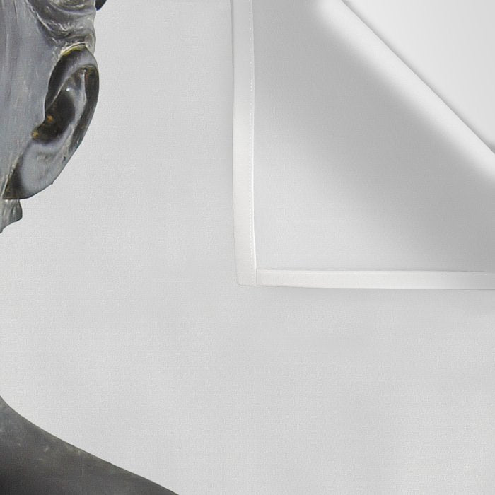 The Girl With Stars In Her Eyes (On White) Wall Tapestry Gallery Image 3