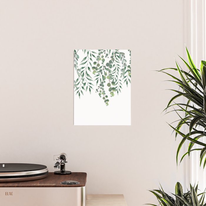 Eucalyptus Leaves  Poster Gallery Image 2