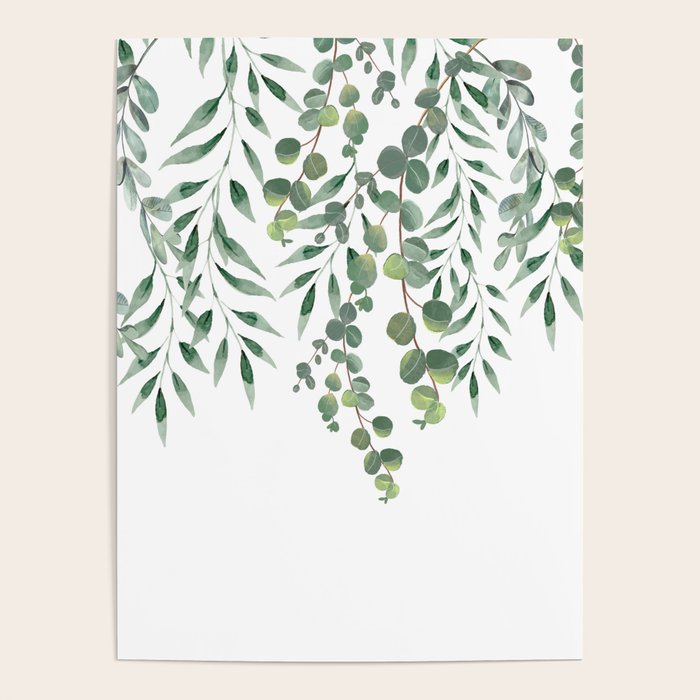 Eucalyptus Leaves  Poster Gallery Image 4