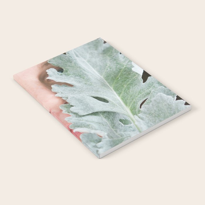 Beautiful Notebook Gallery Image 1