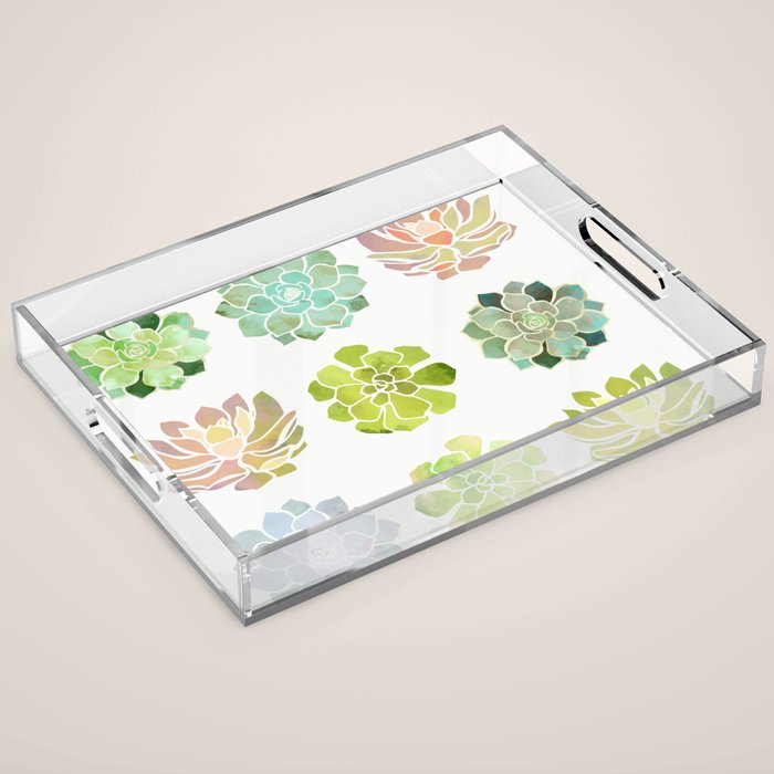Spring Succulents Acrylic Tray Gallery Image 1