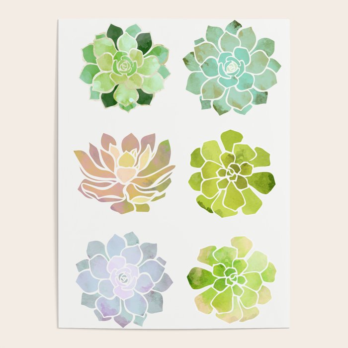 Spring Succulents Poster Gallery Image 1