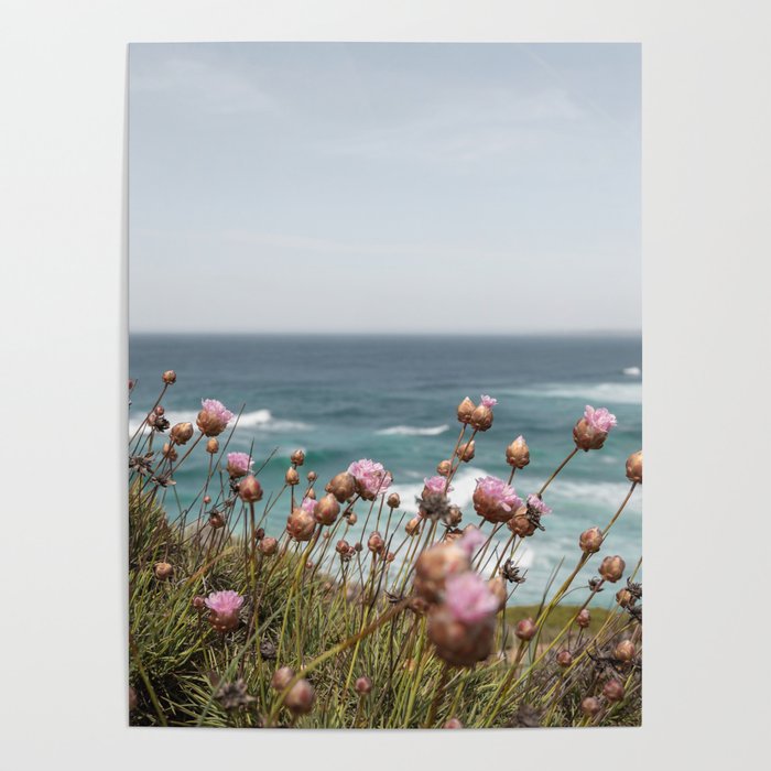 Pink Flowers by the Ocean | Travel Photography in Portugal Art Print | Summer at Bordeira Beach Poster Gallery Image 4