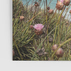 Pink Flowers by the Ocean | Travel Photography in Portugal Art Print | Summer at Bordeira Beach Poster Gallery Image 3