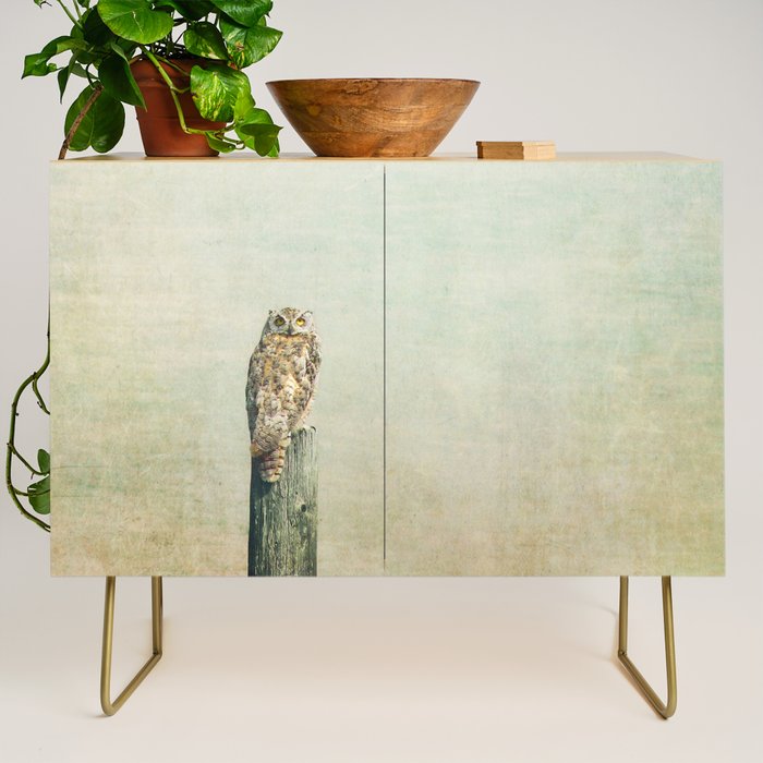 Owl See You Credenza Gallery Image 1