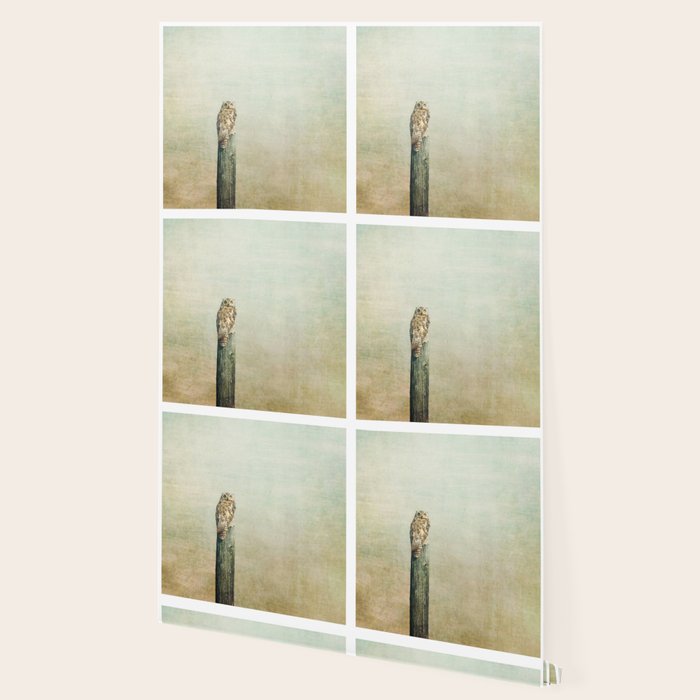 Owl See You Wallpaper Gallery Image 2