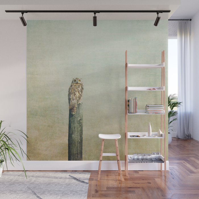 Owl See You Wall Mural Gallery Image 1