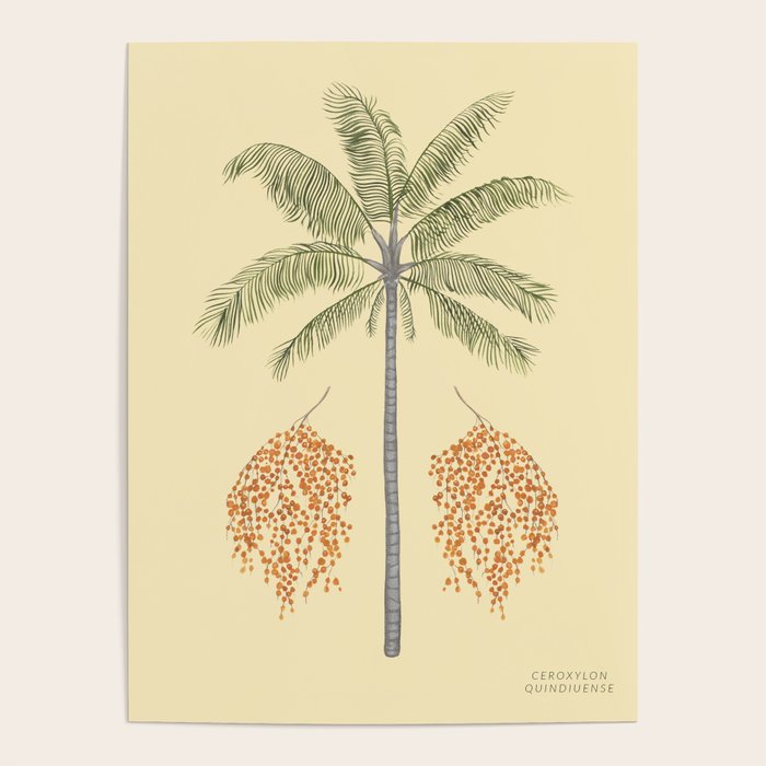 Wax Palm Poster Gallery Image 4
