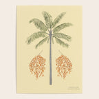 Wax Palm Poster Gallery Image 4