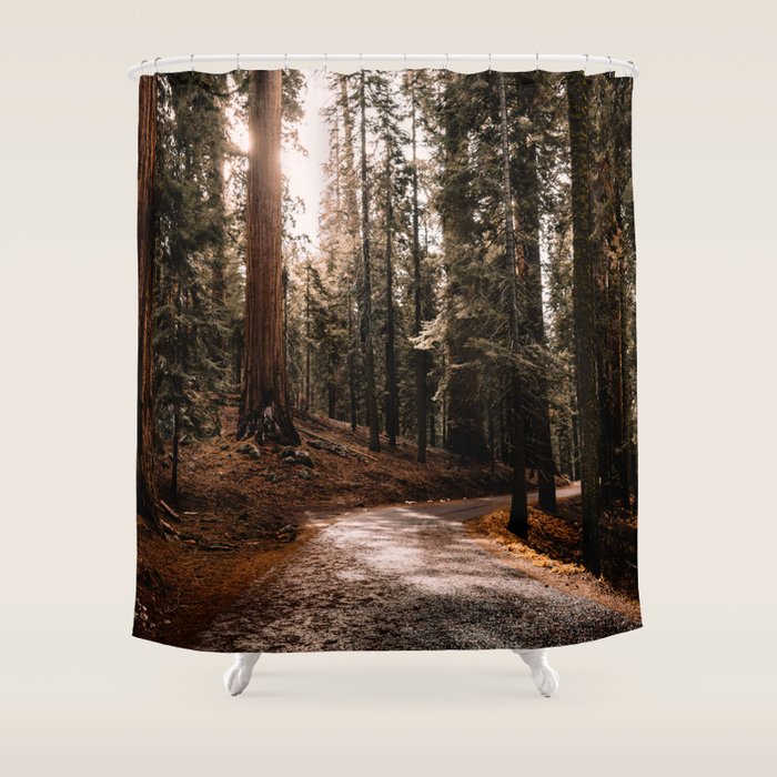 Walking Sequoia 4 Shower Curtain Gallery Image 1