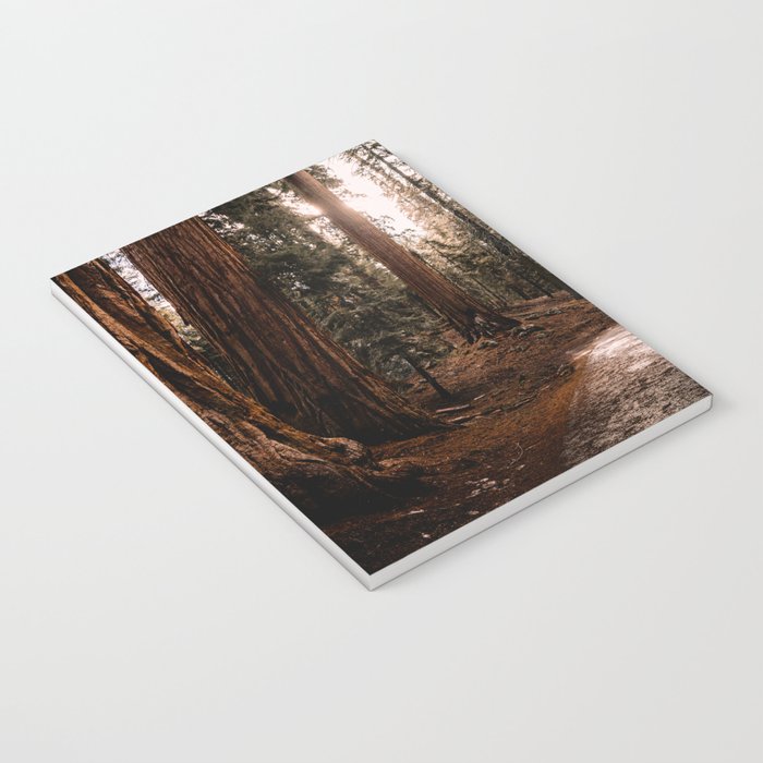 Walking Sequoia 4 Notebook Gallery Image 3
