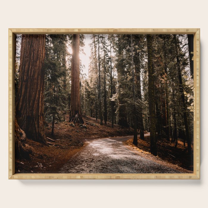 Walking Sequoia 4 Serving Tray Gallery Image 1