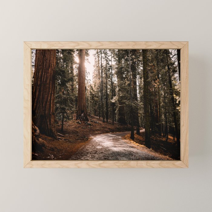 Walking Sequoia 4 Mini Art Print Gallery Image 1