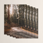 Walking Sequoia 4 Wrapping Paper Gallery Image 3