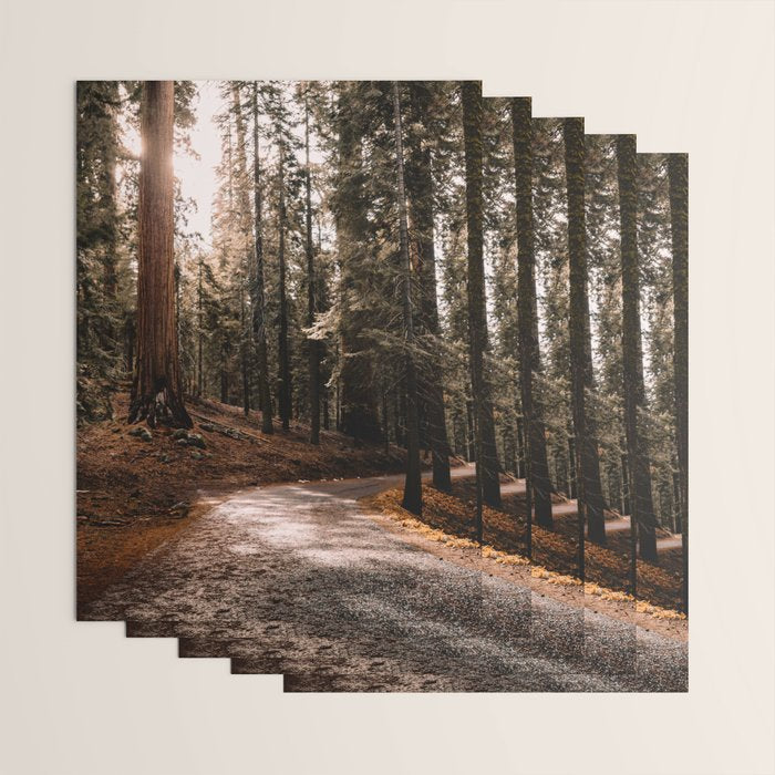Walking Sequoia 4 Wrapping Paper Gallery Image 3
