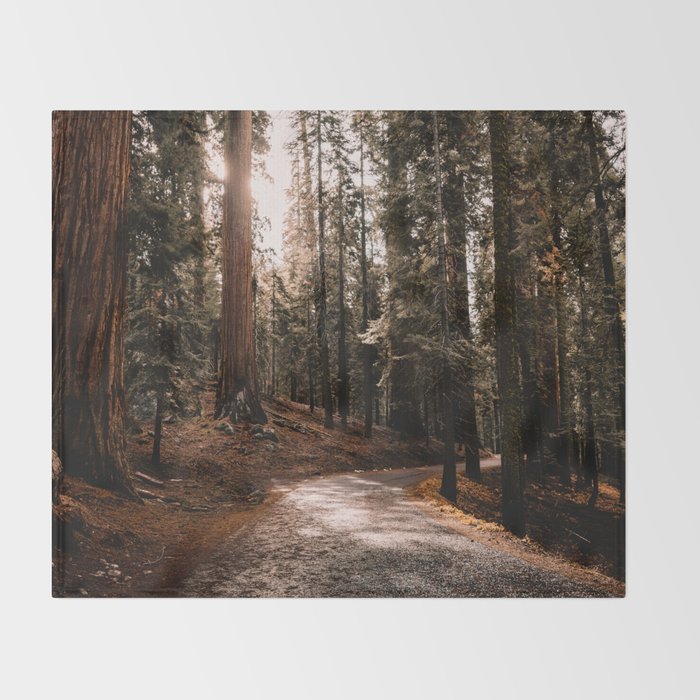 Walking Sequoia 4 Throw Blanket Gallery Image 2
