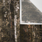 Walking Sequoia 4 Wall Tapestry Gallery Image 3