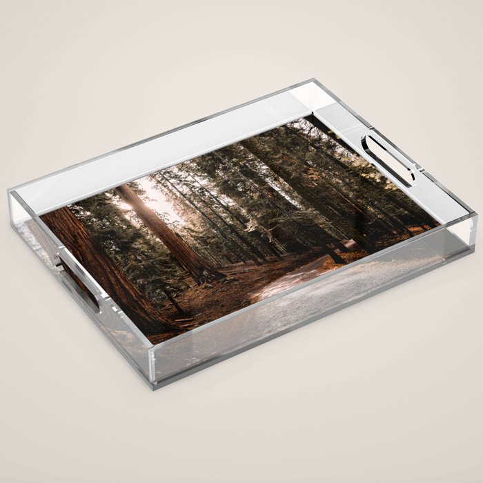 Walking Sequoia 4 Acrylic Tray Gallery Image 1