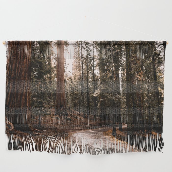 Walking Sequoia 4 Wall Hanging Gallery Image 1