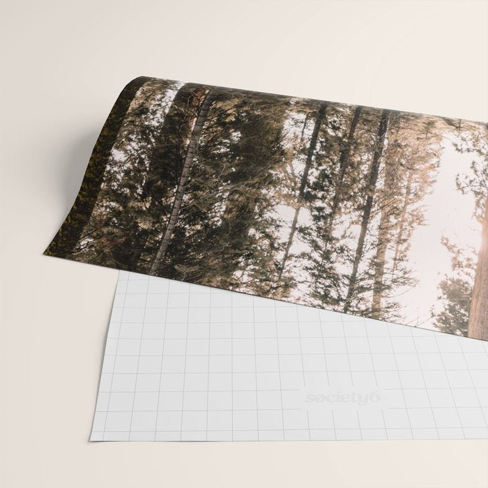 Walking Sequoia 4 Wrapping Paper Gallery Image 2