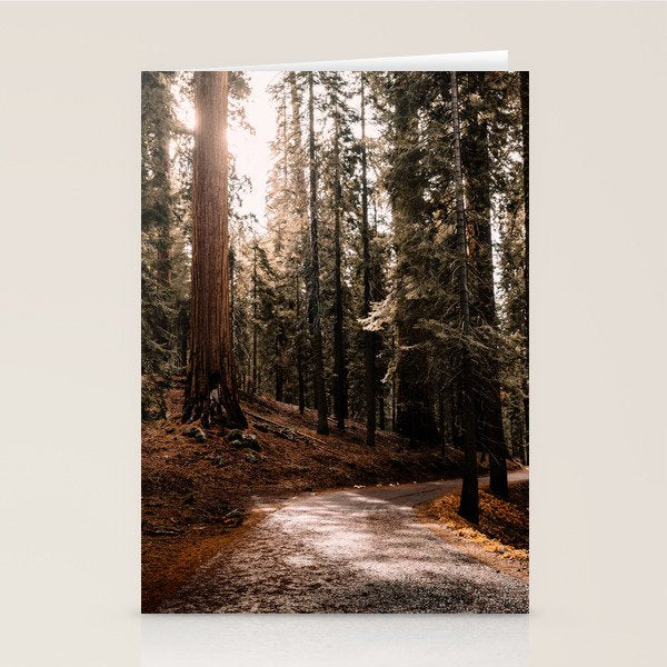 Walking Sequoia 4 Stationery Card Gallery Image 2