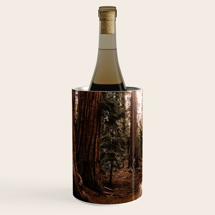 Walking Sequoia 4 Wine Chiller Gallery Image 2