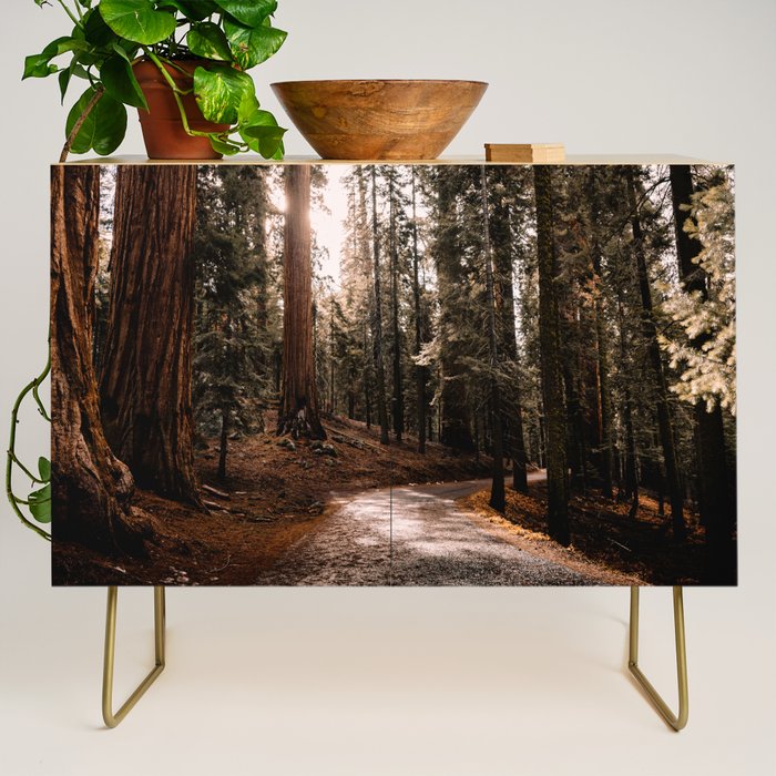 Walking Sequoia 4 Credenza Gallery Image 1