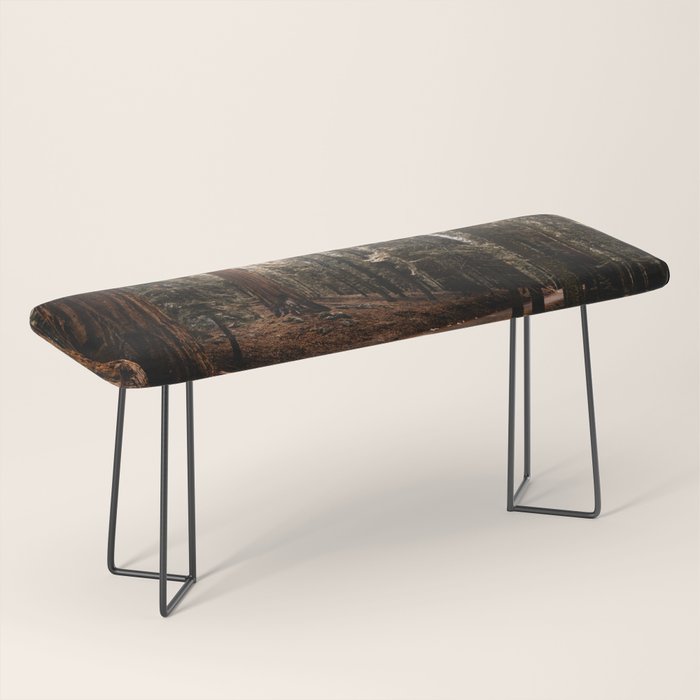 Walking Sequoia 4 Bench Gallery Image 1