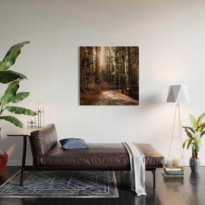 Walking Sequoia 4 Wood Wall Art Gallery Image 2