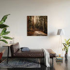 Walking Sequoia 4 Wood Wall Art Gallery Image 2