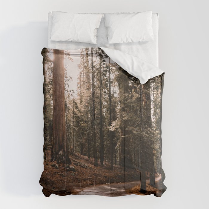 Walking Sequoia 4 Comforter Gallery Image 6