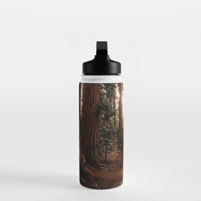 Walking Sequoia 4 Water Bottle Gallery Image 3