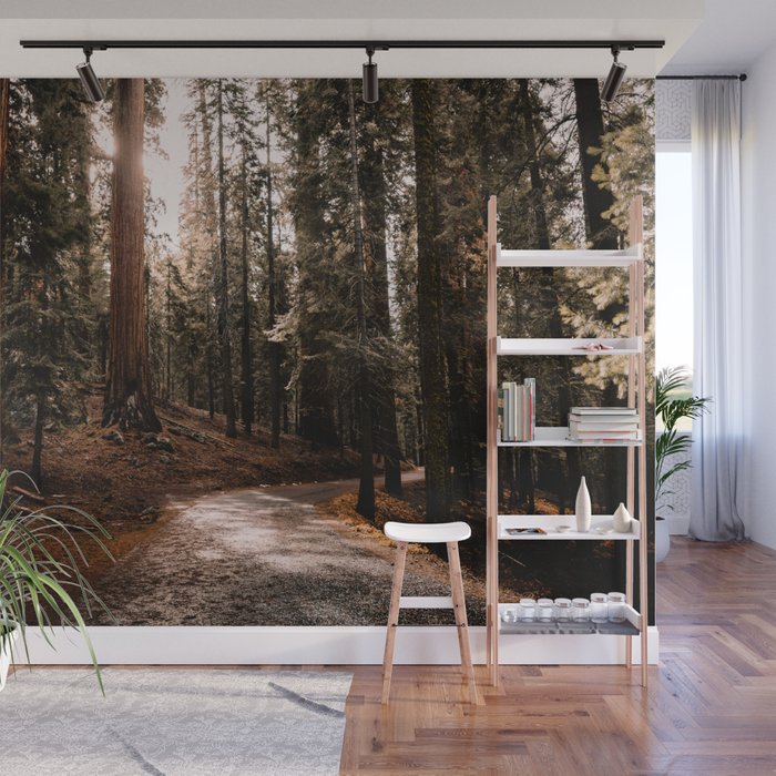 Walking Sequoia 4 Wall Mural Gallery Image 1