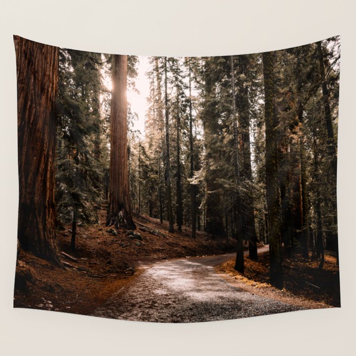 Walking Sequoia 4 Wall Tapestry Gallery Image 4