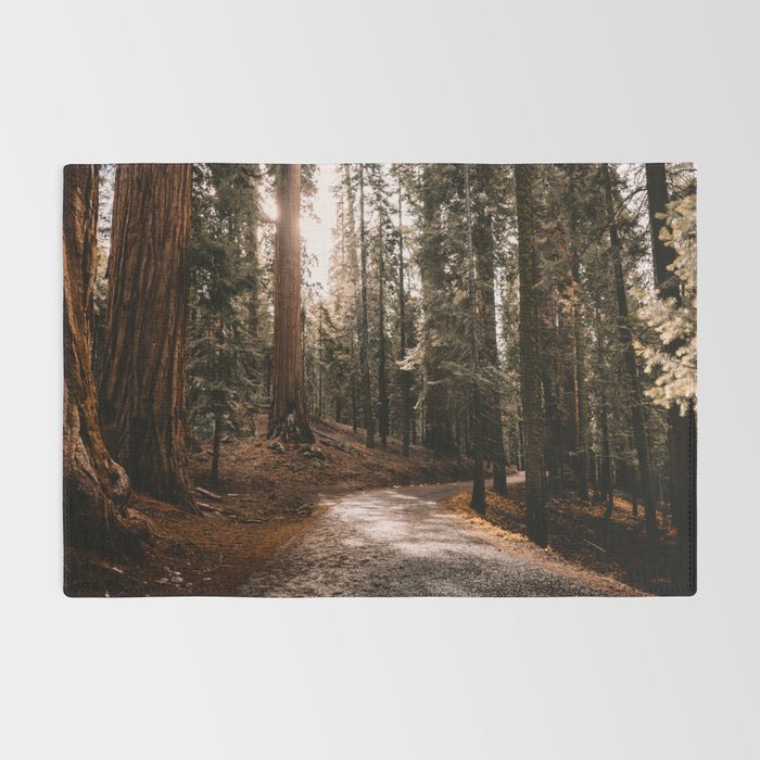 Walking Sequoia 4 Rug Gallery Image 2