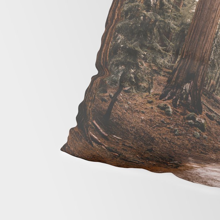 Walking Sequoia 4 Pillow Sham Gallery Image 4