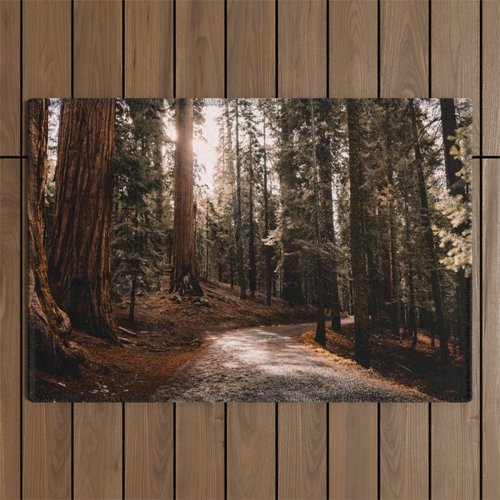 Walking Sequoia 4 Outdoor Rug Gallery Image 1