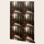 Walking Sequoia 4 Wallpaper Gallery Image 2