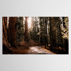 Walking Sequoia 4 Tablecloth Gallery Image 2