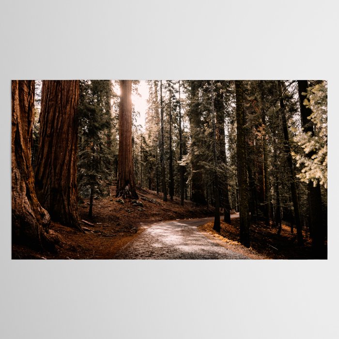 Walking Sequoia 4 Tablecloth Gallery Image 2