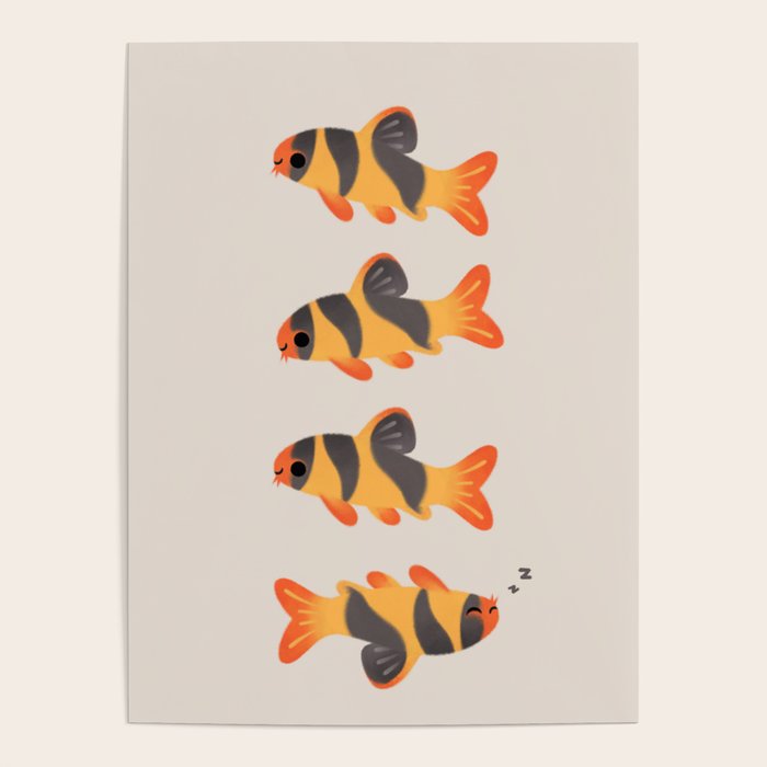Clown loach Poster Gallery Image 1