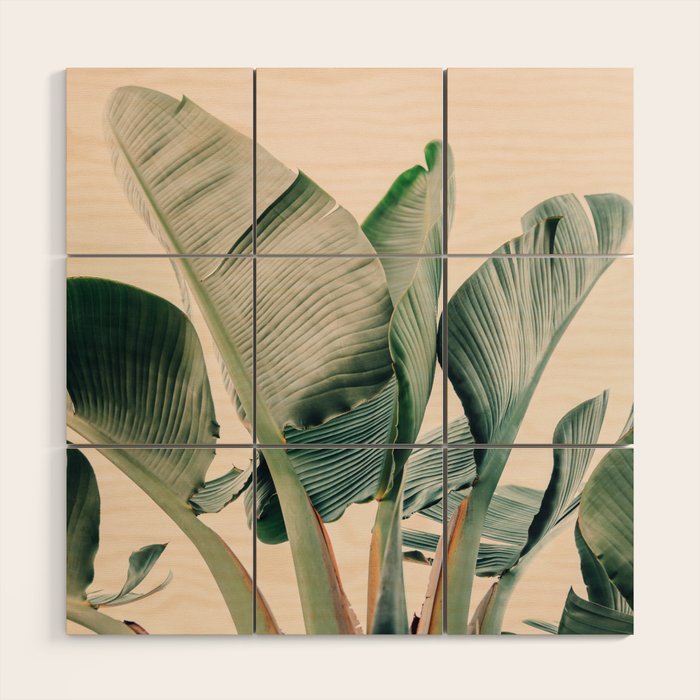 Around The Bend #1 - Modern Tropical Photograph Wood Wall Art Gallery Image 1