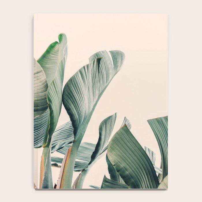 Around The Bend #1 - Modern Tropical Photograph Notebook Gallery Image 4