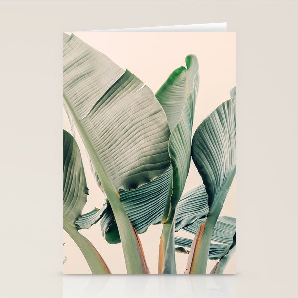 Around The Bend #1 - Modern Tropical Photograph Stationery Card Gallery Image 1