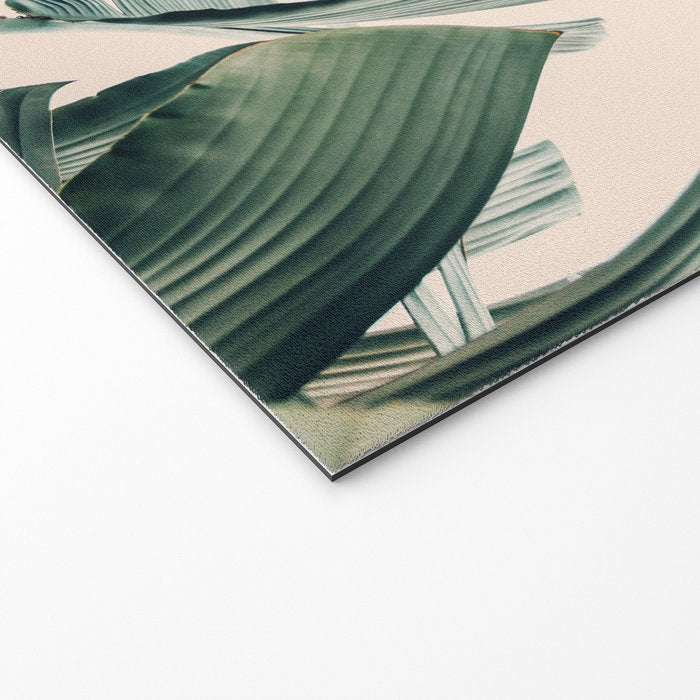 Around The Bend #1 - Modern Tropical Photograph Welcome Mat Gallery Image 2