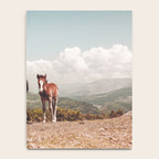 Wild Horses - Horse Photography - Mountains Wanderlust Travel photography by Ingrid Beddoes  Notebook Gallery Image 4