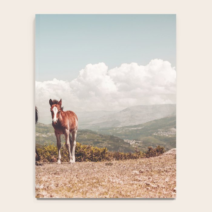 Wild Horses - Horse Photography - Mountains Wanderlust Travel photography by Ingrid Beddoes  Notebook Gallery Image 4