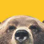 Bear - Yellow Coffee Mug Gallery Image 2