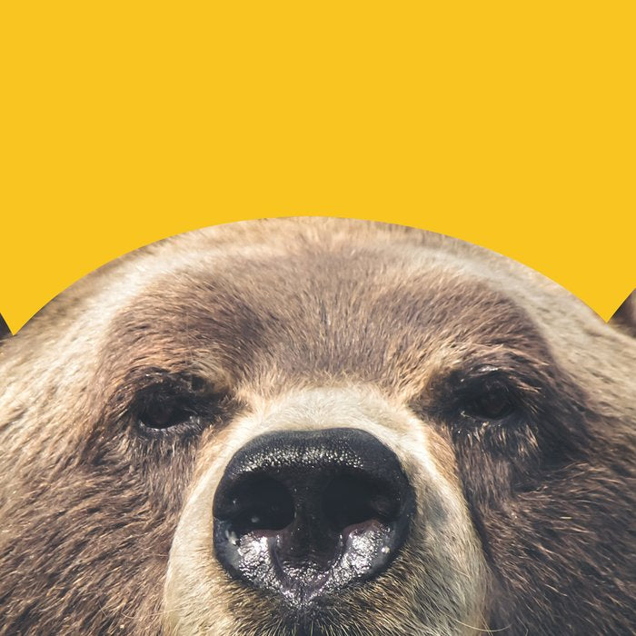 Bear - Yellow Coffee Mug Gallery Image 2